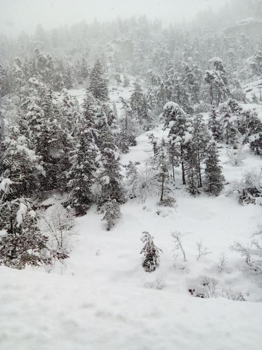 Studio Au Coeur De Valberg A Proximite Des Pistes Eksteriør billede
