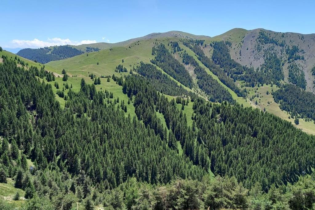 Studio Au Coeur De Valberg A Proximite Des Pistes Eksteriør billede